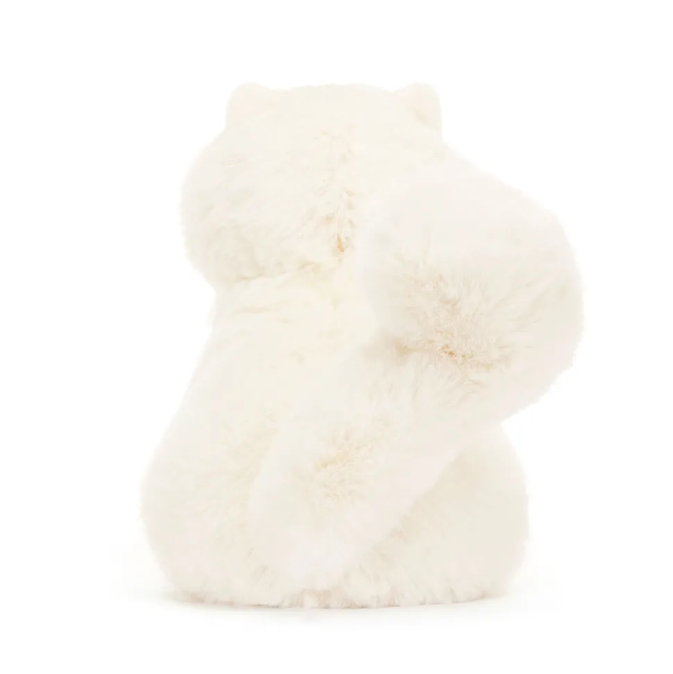 Carissa Persian Cat