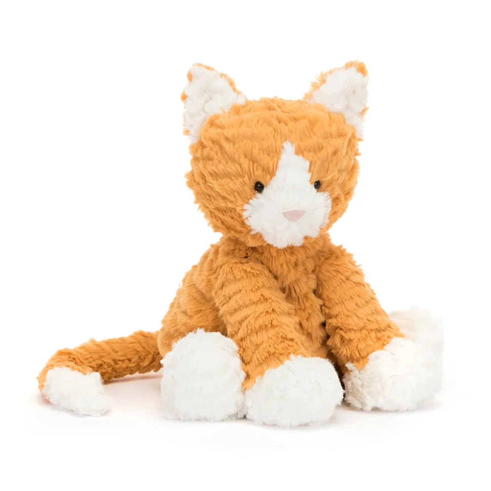 Ginger, the Courageous Kitten Book and Fuddlewuddle Ginger Cat