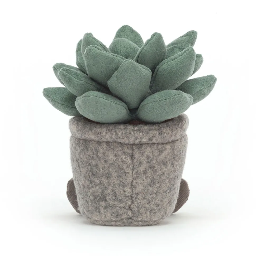 Silly Succulent Azulita